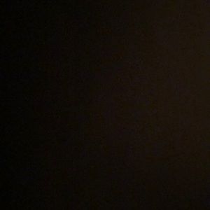 Meet your Posher, Cece